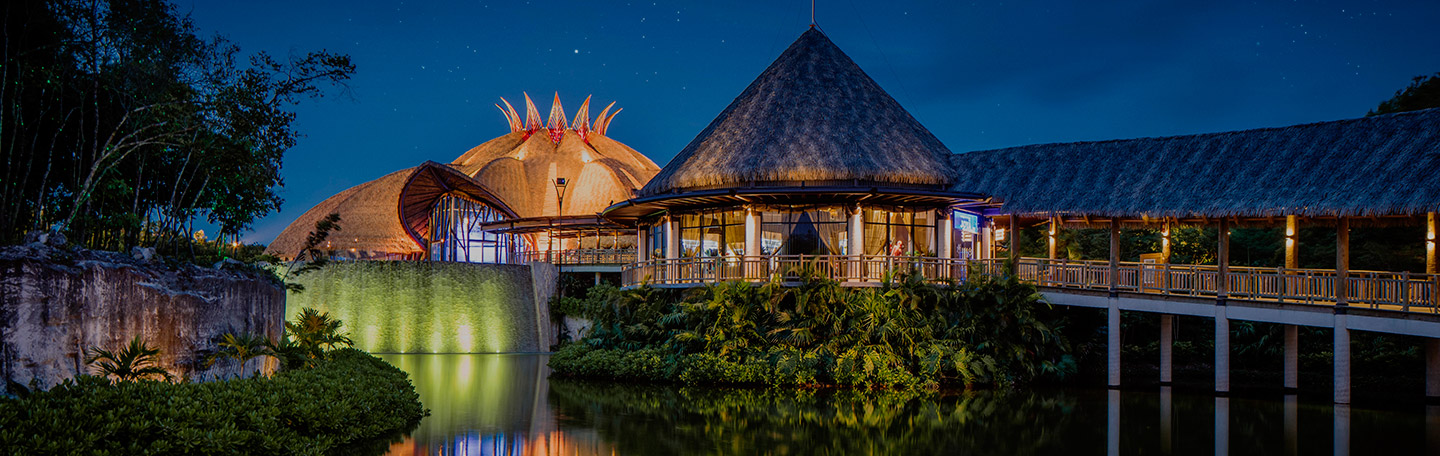 Cirque Du Soleil Dinner Theatre